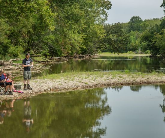 Three people fish on a small, rocky riverbank surrounded by green trees. Two are seated, and one stands, all focused on fishing. The calm river reflects the trees and the group.