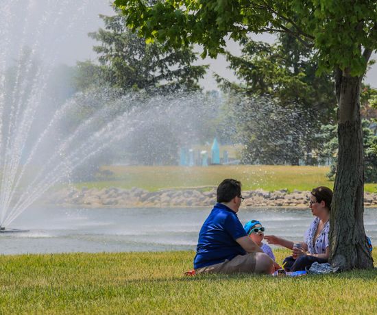 A family of three sits on a blanket under a tree, enjoying a picnic near a pond with a water fountain spraying in the background on a sunny day.