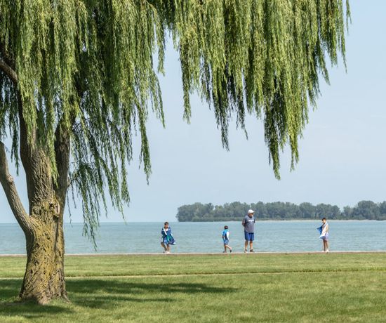 A family of five walks along a lakeside path under a large willow tree, with water and a distant tree-lined shore in the background on a sunny day.