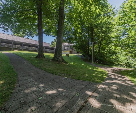 A paved walkway splits in two through a green, tree-filled park area, leading to a modern building with a sloped roof in the background under a bright, sunny sky.