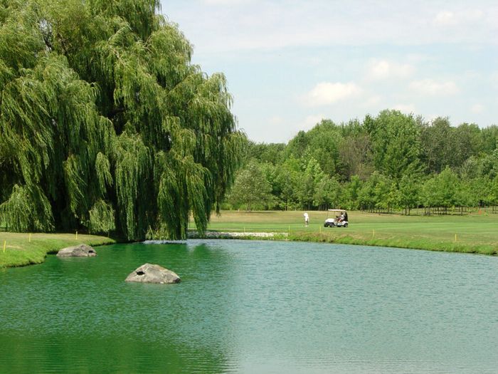 A golf course with a pond in the foreground, a large weeping willow tree on the left, and two people near a golf cart on the green grass under a partly cloudy sky.